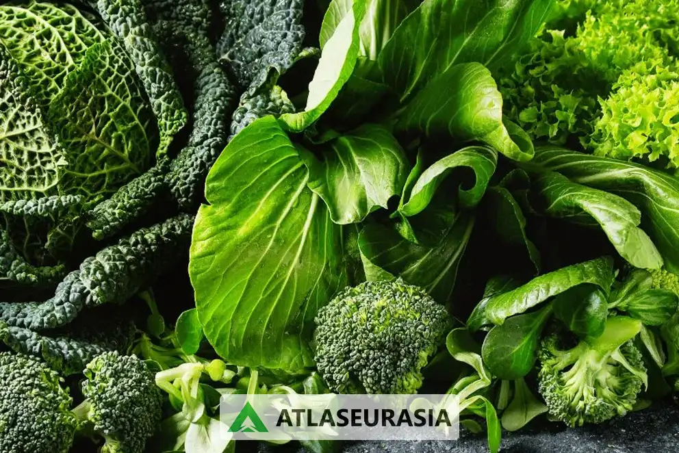 اطلس پل اوراسیا - بررسی خواص رنگ کلروفیل